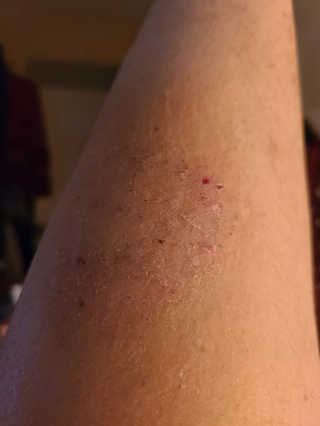 🐞🐦🐞Beruška🐞🐦🐞님이 올린 리뷰 사진 3