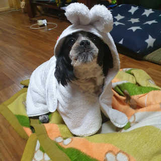 가횽님이 올린 리뷰 사진 2