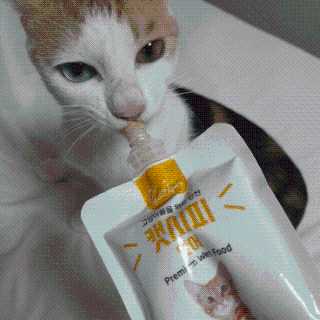 [캣시피] 고양이들의 반찬, 대용량 츄르 3종 — 5점을 준 리뷰어가 2020년 8월 올린 사용 사진
