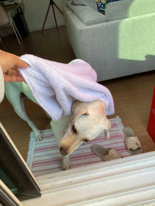 정봐기린님이 올린 리뷰 사진 3