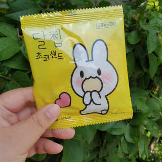 이하나벼룩둘님이 올린 리뷰 사진 2