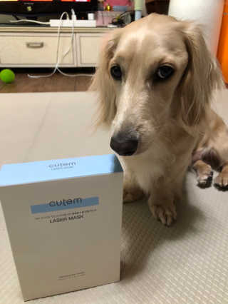 SoyoungChoi님이 올린 리뷰 사진 1