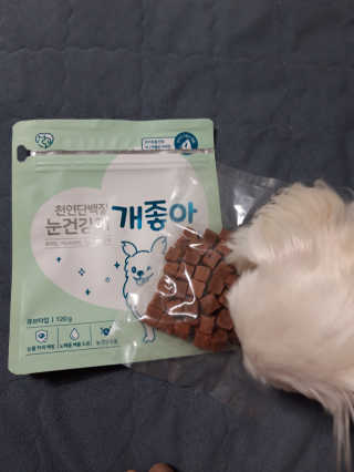 My Pet Care 천연단백질 눈건강에 개좋아 — 5점을 준 리뷰어가 2020년 11월 올린 사용 사진