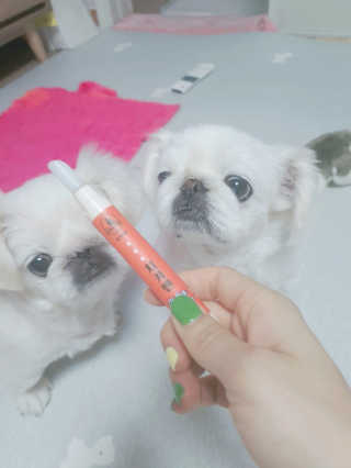 쭈똘지안님이 올린 리뷰 사진 2
