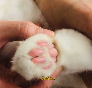 금동어멈님이 올린 리뷰 사진 3