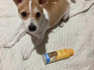 뚜블리님이 올린 리뷰 사진 3