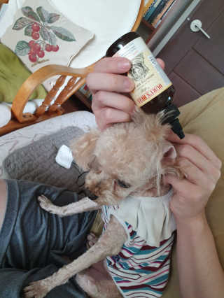 위니님이 올린 리뷰 사진 2