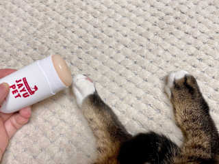 [레드허니밤]자유펫 고양이 강아지 발바닥 밤 14g — 5점을 준 리뷰어가 2020년 7월 올린 사용 사진