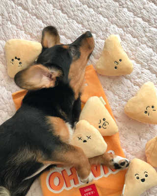 고응룡님이 올린 리뷰 사진 1