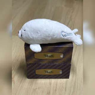 잘풀리는집 부드러운 모이스처 보습 미용 티슈 230매 — 5점을 준 리뷰어가 2020년 9월 올린 사용 사진