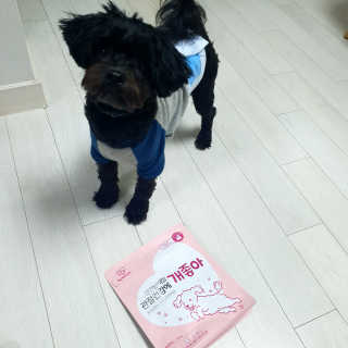 My Pet Care 천연단백질 관절건강에 개좋아 — 5점을 준 리뷰어가 2020년 11월 올린 사용 사진