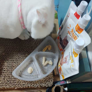 라온시연님이 올린 리뷰 사진 2