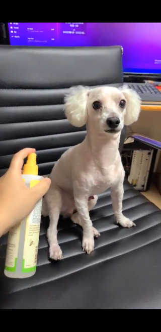 무고몽님이 올린 리뷰 사진 1