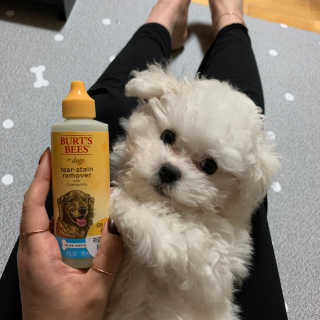 뚜두좌님이 올린 리뷰 사진 3