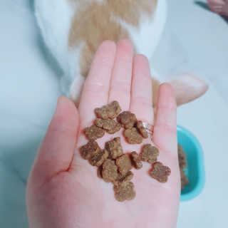 짱현정님이 올린 리뷰 사진 2