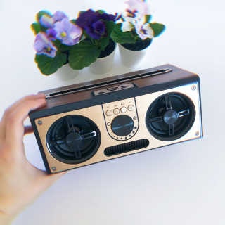 SEVIZ RETRO20W 레트로 블루투스 스피커 — 5점을 준 리뷰어가 2020년 7월 올린 사용 사진