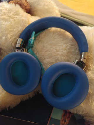 SEVIZ Bluetooth Headphones 10 3color — 4.5점을 준 리뷰어가 2020년 5월 올린 사용 사진