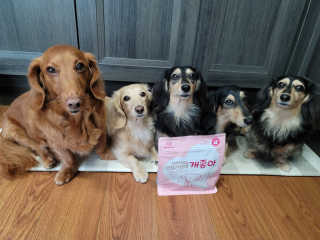 My Pet Care 천연단백질 관절건강에 개좋아 — 5점을 준 리뷰어가 2020년 11월 올린 사용 사진