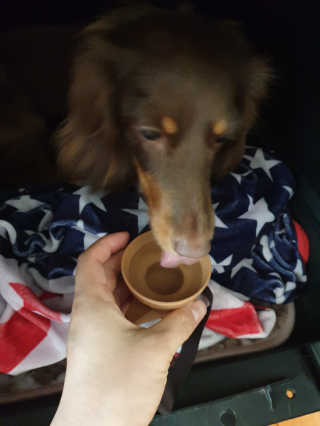llalla님이 올린 리뷰 사진 3