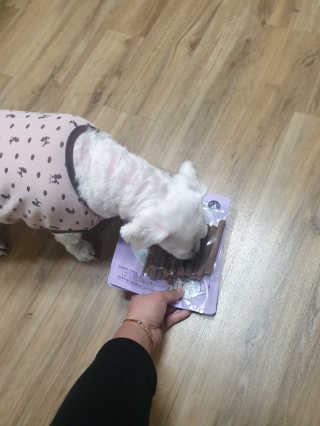 My Pet Care 천연단백질 치아건강에 개좋아 — 5점을 준 리뷰어가 2020년 12월 올린 사용 사진