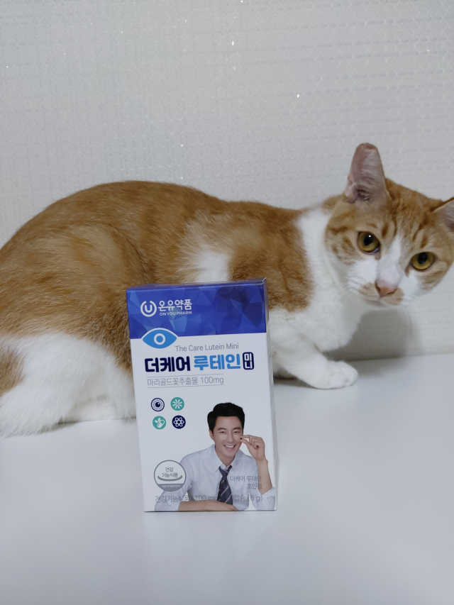 더케어 루테인 미니 리뷰 사진