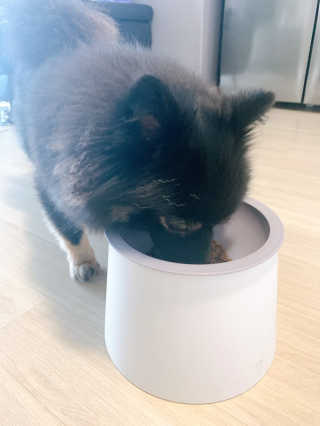 공팔리따님이 올린 리뷰 사진 3