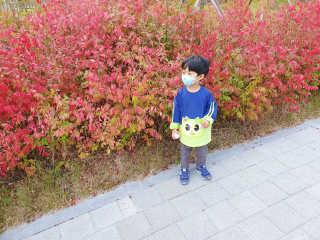 꼬물이님이 올린 리뷰 사진 1