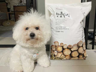용용맹님이 올린 리뷰 사진 2