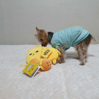 솜희님이 올린 리뷰 사진 2