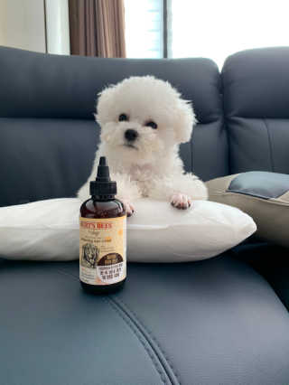 큐티윤님이 올린 리뷰 사진 3