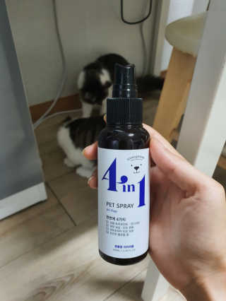 강아지스토리 포인원 모이스처 미스트 100ml — 5점을 준 리뷰어가 2020년 6월 올린 사용 사진