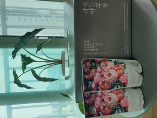 cocoluv님이 올린 리뷰 사진 2