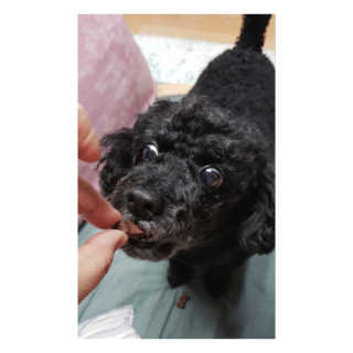 로와님이 올린 리뷰 사진 3