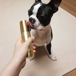 연니비님이 올린 리뷰 사진 2