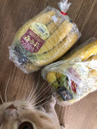 [스미후루] 감숙왕 바나나 2팩 2.6kg 이벤트 — 5점을 준 리뷰어가 2020년 9월 올린 사용 사진