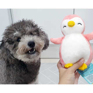 더샵토이 핸드메이드 동물 펭귄 애착 봉제인형 — 3점을 준 리뷰어가 2020년 7월 올린 사용 사진