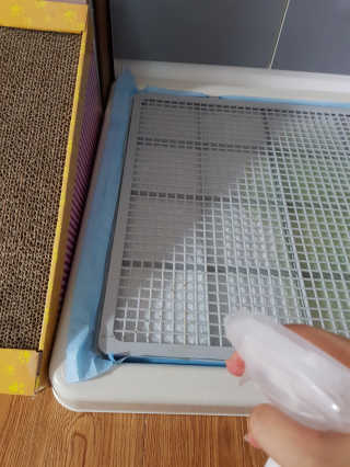 오남매맘님이 올린 리뷰 사진 4