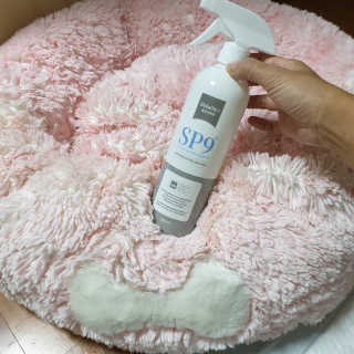 mini unni님이 올린 리뷰 사진 4