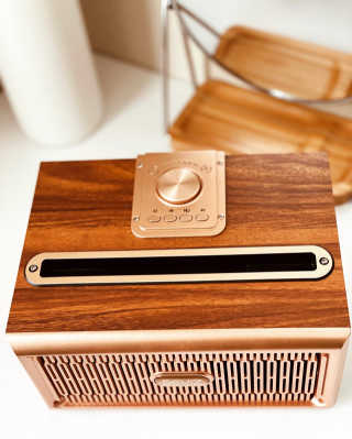 SEVIZ GOLD20W 레트로 블루투스 스피커 — 5점을 준 리뷰어가 2020년 6월 올린 사용 사진