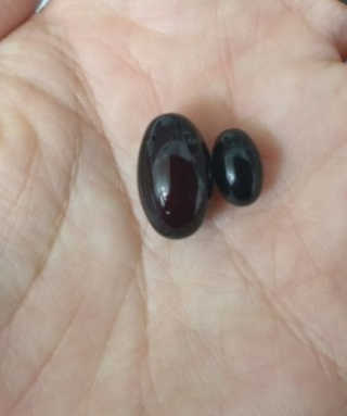 하나님이 올린 리뷰 사진 4