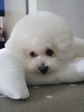 hyun♡님이 올린 리뷰 사진 4
