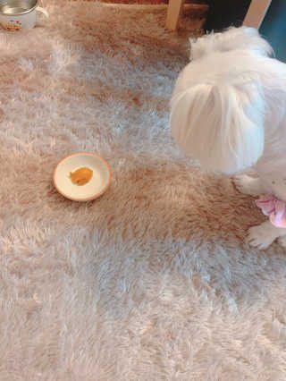 름님이 올린 리뷰 사진 4