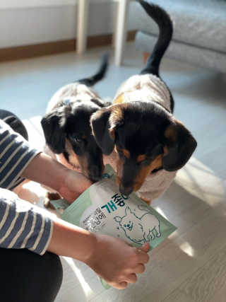 My Pet Care 천연단백질 눈건강에 개좋아 — 5점을 준 리뷰어가 2020년 11월 올린 사용 사진