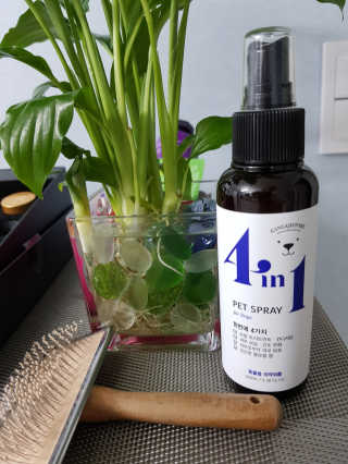 강아지스토리 포인원 모이스처 미스트 100ml — 4점을 준 리뷰어가 2020년 6월 올린 사용 사진