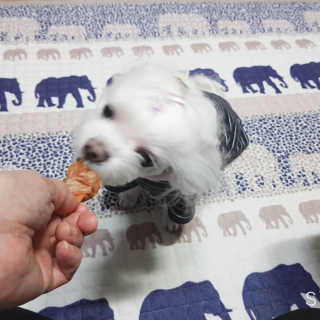 두부님이 올린 리뷰 사진 2