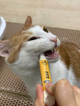 아두님이 올린 리뷰 사진 3