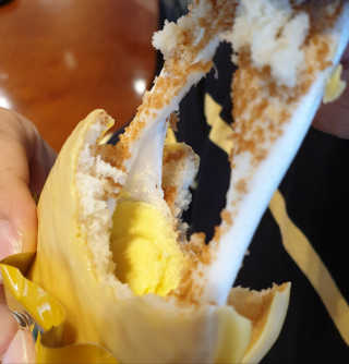 하츠하루님이 올린 리뷰 사진 1