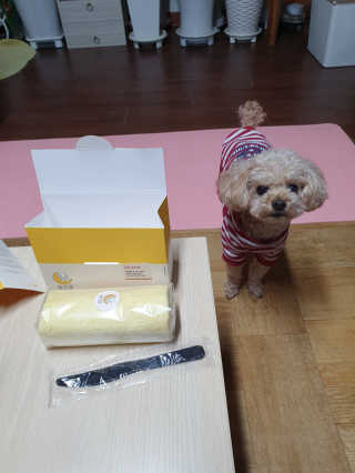 위니님이 올린 리뷰 사진 4