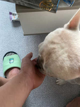 이샤르르님이 올린 리뷰 사진 3