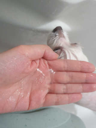 쿤쿤님이 올린 리뷰 사진 4